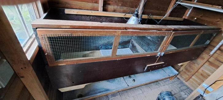Dubbele opkweekbak kuikens + mestlade, Dieren en Toebehoren, Pluimvee | Toebehoren, Ophalen