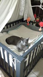 babypark donkergrijs, Kinderen en Baby's, Babyparken, Ophalen, Gebruikt, Rechthoekig, In hoogte verstelbaar