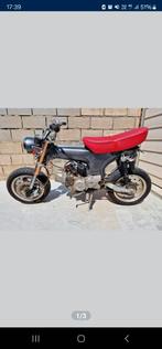 Dax honda skyteam 190cc, Motos, Motos | Honda, Particulier