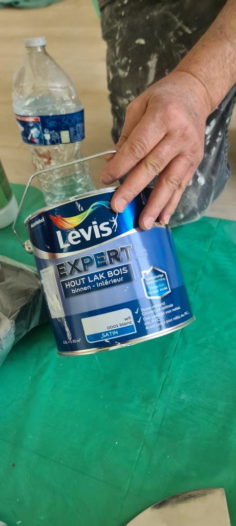 Homme à tout Faire: Peinture, Montage de meubles, fixation.., Vêtements | Femmes, Costumes de carnaval & Vêtements de fête, Enlèvement ou Envoi