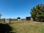 Omheining te koop Tollembeek 20m, Dieren en Toebehoren, Paarden