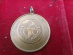 Medaille - Cavalerie Leger - Arte Nostra Doctus Sis In Pugna, Verzamelen, Ophalen of Verzenden, Landmacht, Lintje, Medaille of Wings