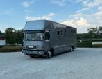 Paardenvrachtwagen voor 6 paarden opbouw Ketterer, Dieren en Toebehoren
