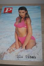 Bijlagen P magazine 1998 , Posters , Kalender , speelkaarten, Verzamelen, Posters, Ophalen of Verzenden, A1 t/m A3, Zo goed als nieuw
