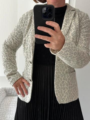 Blazer Talking French m40 beschikbaar voor biedingen