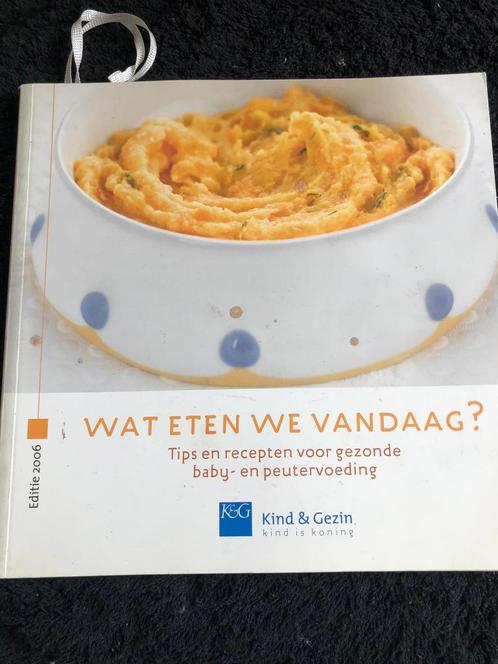 Wat eten we vandaag, Kind & gezin, Boeken, Kookboeken, Nieuw, Gezond koken, Ophalen of Verzenden