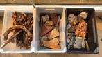 Aquarium stenen + hout p.o.t.k., Dieren en Toebehoren, Ophalen
