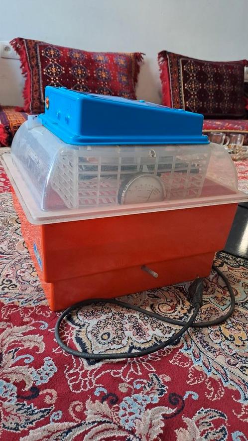 "Broedmachine voor kippen – werkt goed – €45, Dieren en Toebehoren, Reptielen en Amfibieën | Toebehoren, Gebruikt, Broedstoof of Broedmachine