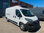 Fiat ducato maxi 2.3jtd 160pk koelwagen Carrier, Auto's, Bestelwagens en Lichte vracht, Euro 6, Bedrijf, Handgeschakeld, Diesel