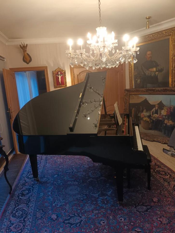 À vendre en raison du déménagement de l'aile SAUTER DELTA, Musique & Instruments, Pianos, Comme neuf, À queue, Noir, Brillant