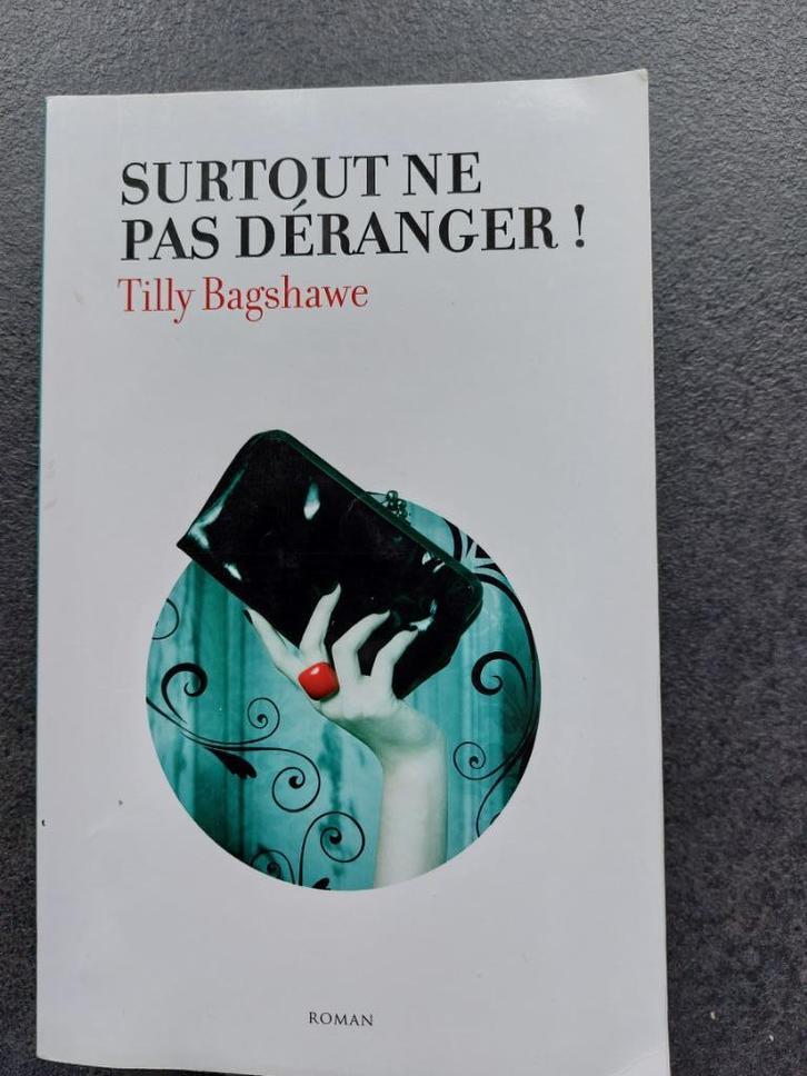 Surtout ne pas déranger - Tilly Bagshawe, Livres, Romans, Comme neuf, Enlèvement ou Envoi