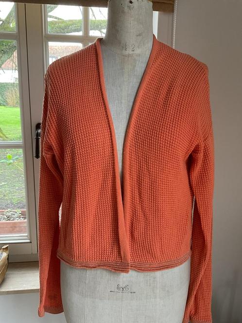 Veste en tricot de Caroline Bis, taille 38, Vêtements | Femmes, Pulls & Gilets, Taille 38/40 (M), Orange, Enlèvement ou Envoi