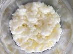 Kefir - melkkorrels - yoghurtbloempjes (50 gram), Ophalen