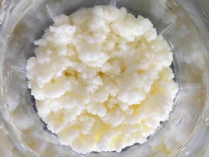 Kefir - melkkorrels - yoghurtbloempjes (50 gram), Diversen, Levensmiddelen, Ophalen