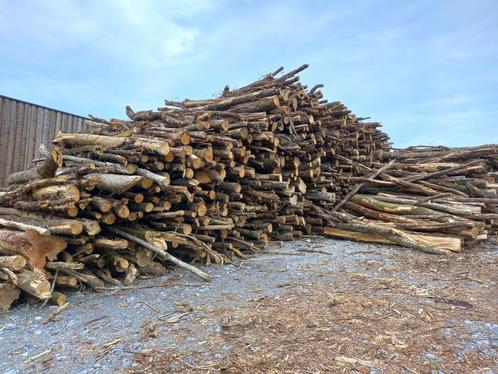 50 steres de bois de chauffage, Tuin en Terras, Brandhout, Stammen, Ophalen