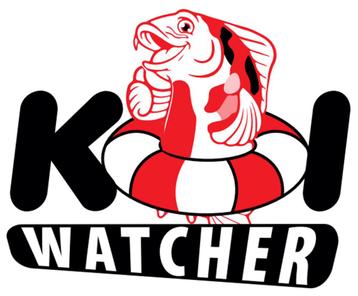 Koiwatcher, hulp nodig bij zieke koi.