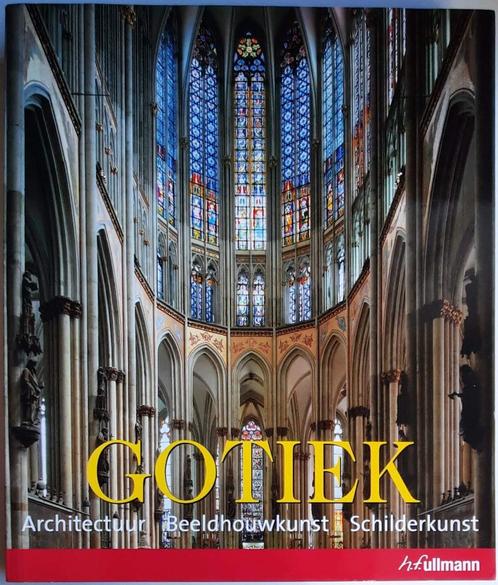 Gotiek, Boeken, Kunst en Cultuur | Architectuur, Zo goed als nieuw, Architectuur algemeen, Ophalen