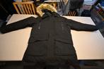 heerlijk warme heren parka -20 C maat 2XL, Kleding | Heren, Jassen | Winter, Queshua, Zwart, Overige maten, Ophalen of Verzenden