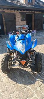 Kymco maxxer 300, Motoren