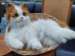 Speel kat, Ophalen, Zo goed als nieuw, Overige typen