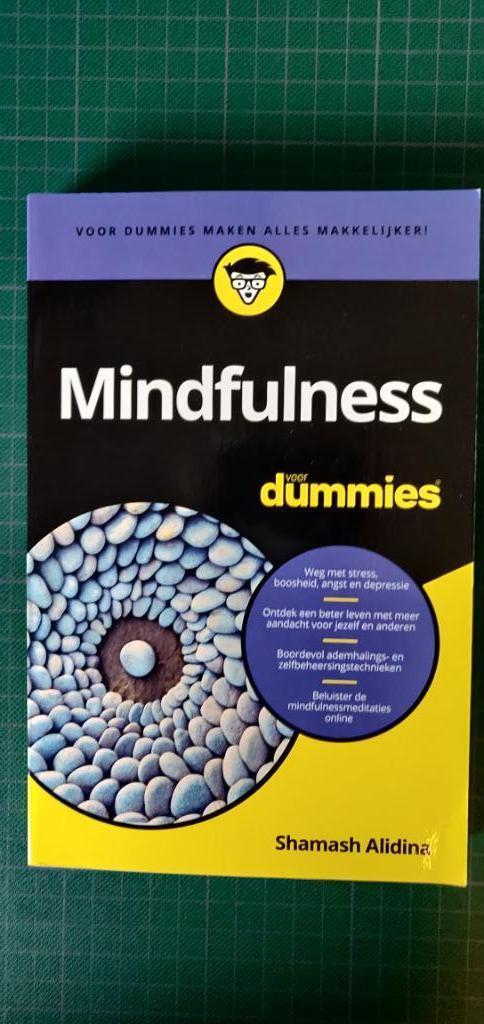 Mindfulness voor dummies, Livres, Conseil, Aide & Formation, Utilisé, Enlèvement ou Envoi