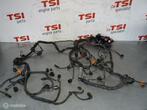 Kabelboom Motor 8K1971072S 2.7TDI CGK AUDI Multitronic Aut., Ophalen of Verzenden, Gebruikt, Audi