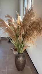 Vaas met Pampas, Ophalen, Overige materialen, Overige kleuren, 50 tot 75 cm