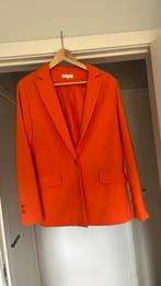 Oranje blazer maat 42, Vêtements | Femmes, Vestes & Costumes, Enlèvement ou Envoi, Comme neuf, Taille 42/44 (L), Orange