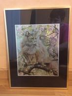 Cadre chat, Divers, Enlèvement, Utilisé