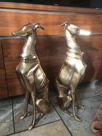 2 x grote statige honden windhond whippet greyhound, Ophalen of Verzenden