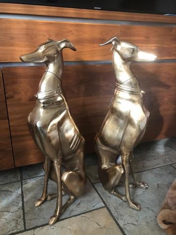 2 x grote statige honden windhond whippet greyhound  beschikbaar voor biedingen
