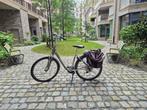 Twee elektrische fietsen (2014) te koop in Antwerpen, Fietsen en Brommers, Elektrische fietsen, Overige merken, Gebruikt, 50 km per accu of meer