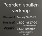 Verkoop op zondag 08/03