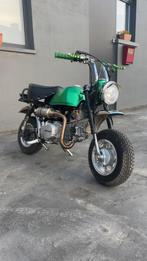 Monkey a klasse te koop, Enlèvement, Utilisé, 140 cm³, Autres types