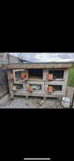 Konijnenkot, Dieren en Toebehoren, Ophalen