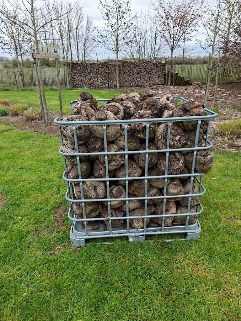 Entbollen van appelbomen, Ophalen