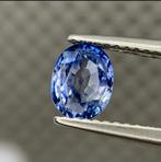 Saphir bleu
1,23 ct, 1 bracelet à breloques, Enlèvement ou Envoi, Neuf, Pierre précieuse