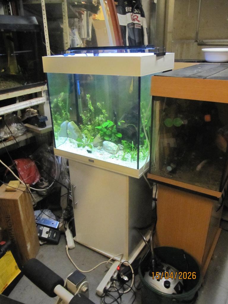 Mooi beplante juwel lido 120, Animaux & Accessoires, Enlèvement, Chauffage, Filter, Juwel