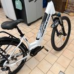 Velo assistance électrique Nakamura, Vélos & Vélomoteurs, Autres marques, Moins de 47 cm, Enlèvement, Accès (extra) bas