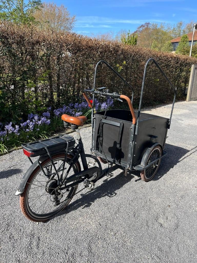 elektrische bakfiets Troy, Fietsen en Brommers, Ophalen, Gebruikt, 4 kinderen of meer, Elektrisch