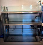 Aquariumstelling voor zeeaquarium, Enlèvement