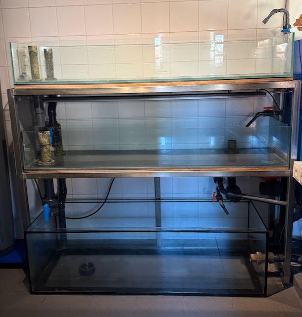 Aquariumstelling voor zeeaquarium, Animaux & Accessoires, Poissons | Aquariums & Accessoires, Enlèvement
