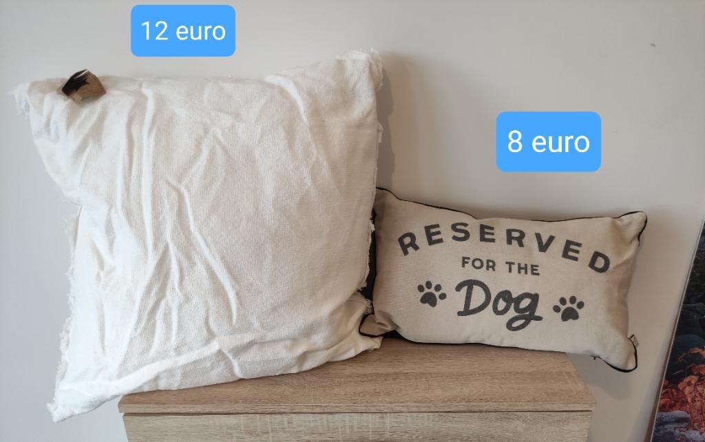 Kussens allerlei, Huis en Inrichting, Woonaccessoires | Kussens, Ophalen of Verzenden