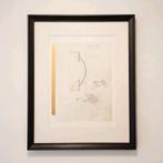 Panamarenko, Enlèvement ou Envoi