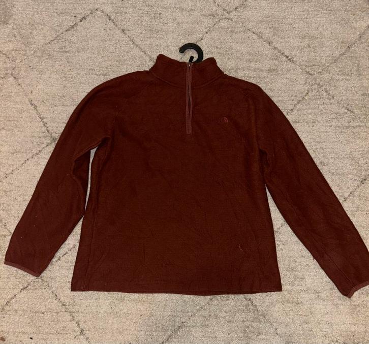 Pull north face, Kleding | Dames, Truien en Vesten, Gedragen, Maat 42/44 (L), Overige kleuren, Ophalen of Verzenden