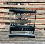 Terrarium, Enlèvement