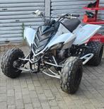 Raptor 700, Motoren, Quads en Trikes