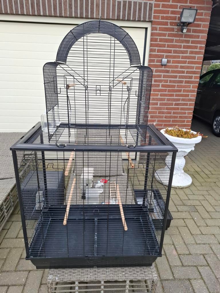 Te koop vogelkooi, Enlèvement, Cage à oiseaux