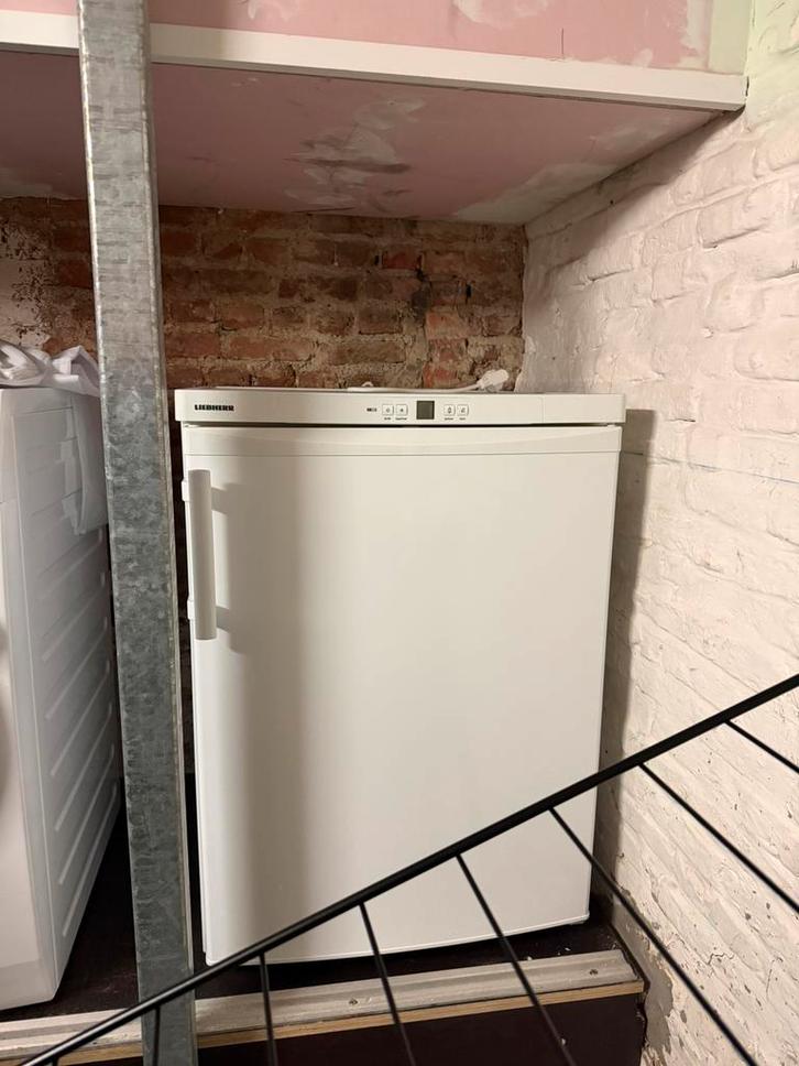 nieuwe no frost diepvries Liebherr GNP1066-21, Electroménager, Congélateurs, Neuf, Autoportant, Congélateur, Congélateur, 85 à 120 cm