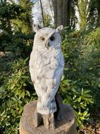 Beeld sneeuw uil, tuin, zwembad, vijver 55cm, Tuin en Terras, Tuinbeelden, Ophalen, Nieuw, Kunststof, Dierenbeeld